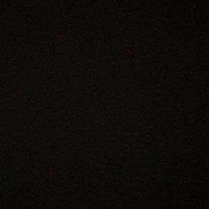 Meet your Posher, Rayshon